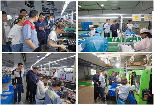 武山縣黨史學習教育助推勞務產業跑出加速度