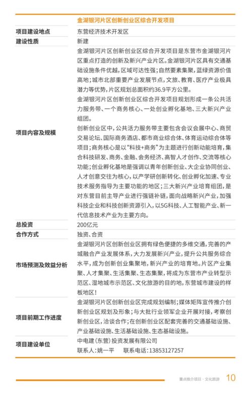 2021年東營市文化旅游項目開發策劃咨詢 賦能黃河入海，打造文旅新名片